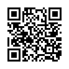 QR Code for bitcoin:13eCFvBiiamMwm2TLi9aLaaGgfki82sCJc