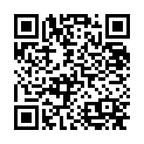 QR Code for bitcoin:bitcoin:17Jkweswsvde2KttoUn5DVddfTv8HkdB3s