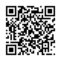 QR Code for bitcoin:bitcoin:33VoXmRigFtwTgN94FBAXtkdB6Po3ScdHr