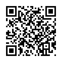 QR Code for bitcoin:bitcoin:386yyvCnBDmLrD7JFQDBhhb68z7eBPdAq7