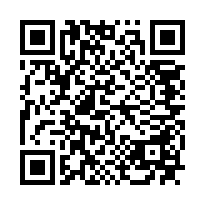 QR Code for bitcoin:bitcoin:bc1q04kj6cm3mn5lyuwuk7ffmlg438agmt0hr66q6l