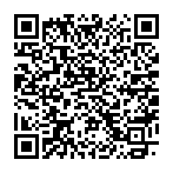 QR Code for bitcoin:bitcoin:bitcoin:bitcoin:bitcoin:bitcoin:bitcoin:388Pb13WgzCkM5XjsTLSi6EBkMeFjwsHDg
