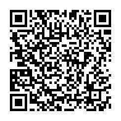 QR Code for bitcoin:bitcoin:bitcoin:bitcoin:bitcoin:bitcoin:bitcoin:3QMPLzTNEqrBt2HPapwSWKo3HX3yBTP6Az